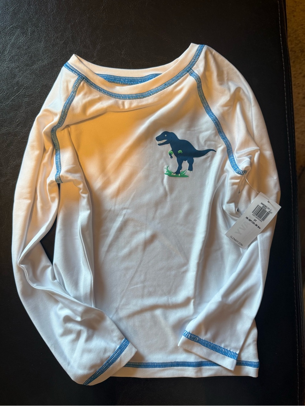 Kids White Swim Long-Sleeve Top and Shorts with Blue Trim and Dino Graphic